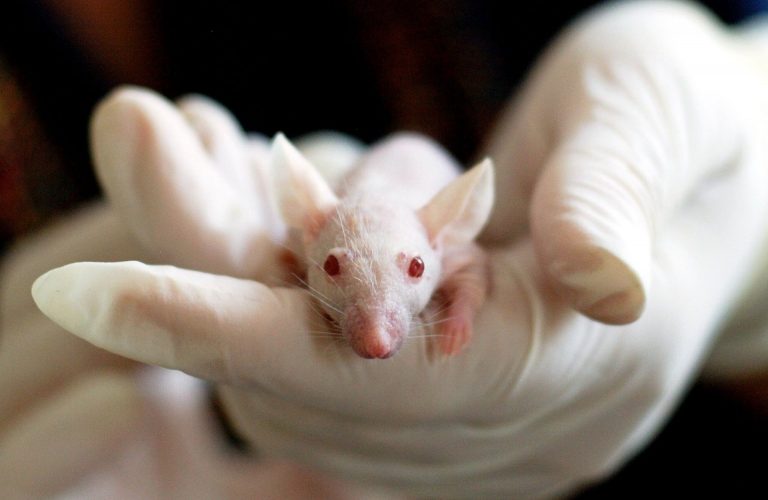 China Animal Testing Free in Conditions since May 1st, 2021